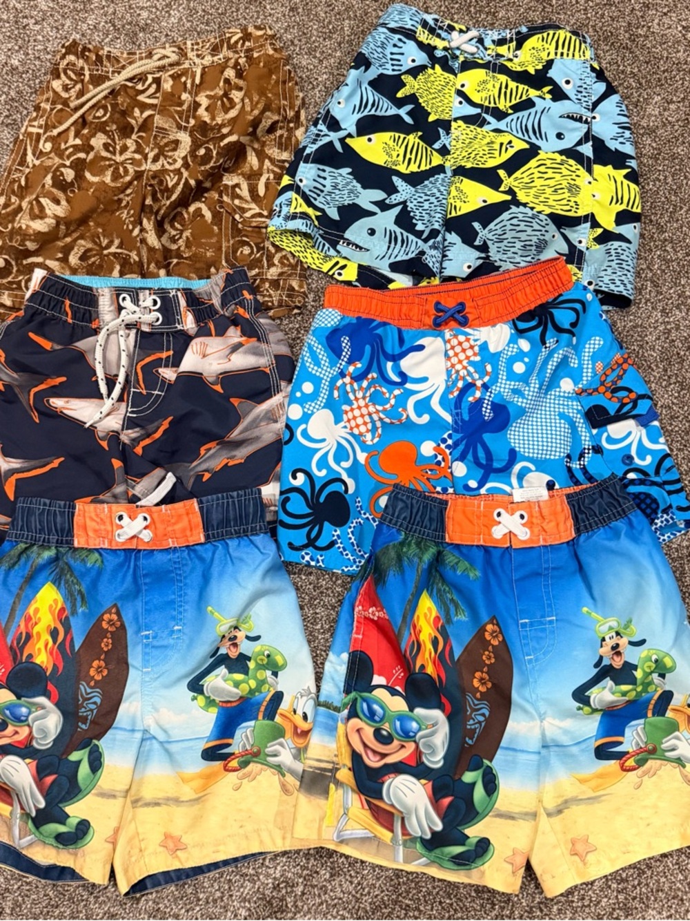 6 pair Assorted Boys' Beach Swim Trunks - Tropical Fish & Cartoon Prints